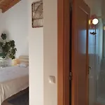 Endless Summer Surf House