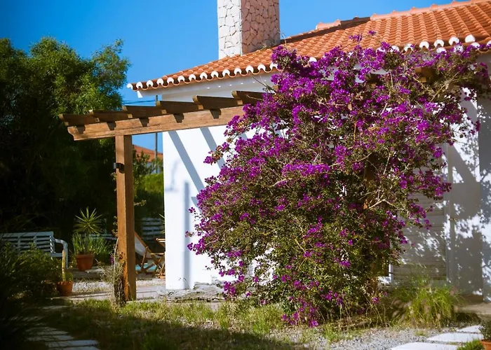 Maison d'hôtes Endless Summer Surf House *