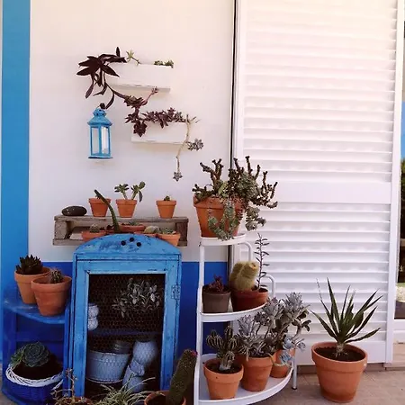 Endless Summer Surf House Pensionat *