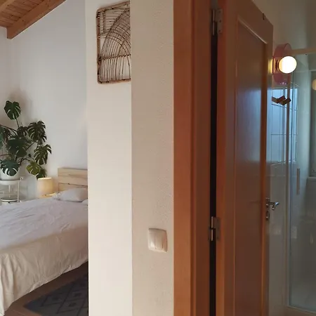 Endless Summer Surf House