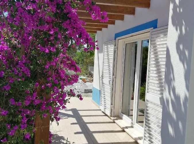 ゲストハウス Endless Summer Surf House *