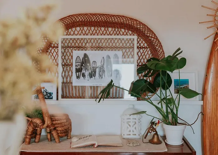 Endless Summer Surf House