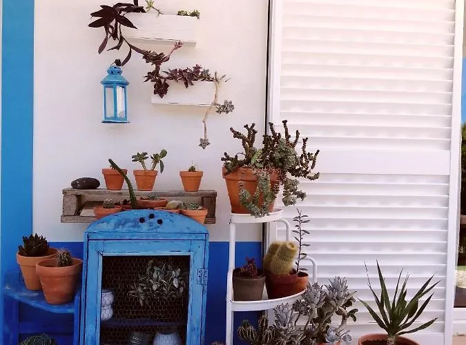 Endless Summer Surf House ゲストハウス *