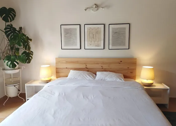 Endless Summer Surf House ゲストハウス *