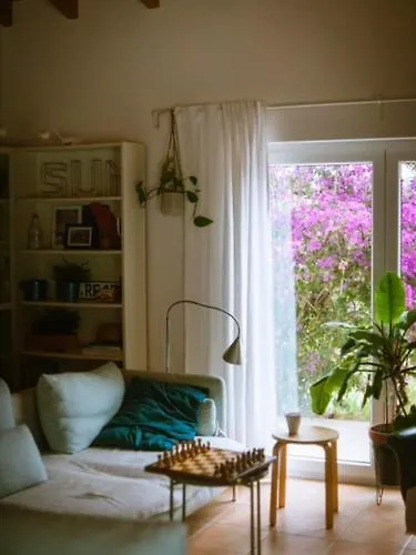 Endless Summer Surf House ゲストハウス *